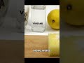 Instant Carpet Stain Removal with Vinegar #carpetcleaningtips #vinegarcleaning #stainremovaltips