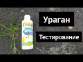 Средство от сорняков УРАГАН (гербицид). Тестирование.