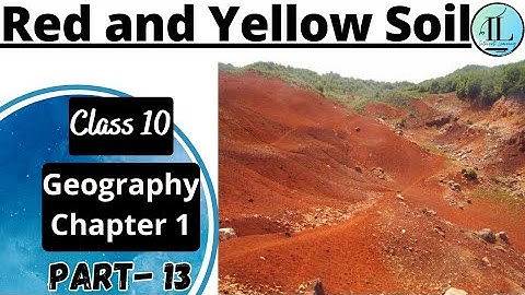 Red and Yellow Soil | Classification of Soil |Resources and Development Class 10 Geography Chapter 1