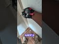 #india #usa #pladur #viral #shortvideo #sheetrock #shortsviral #shorts #renovation #reforma #obra