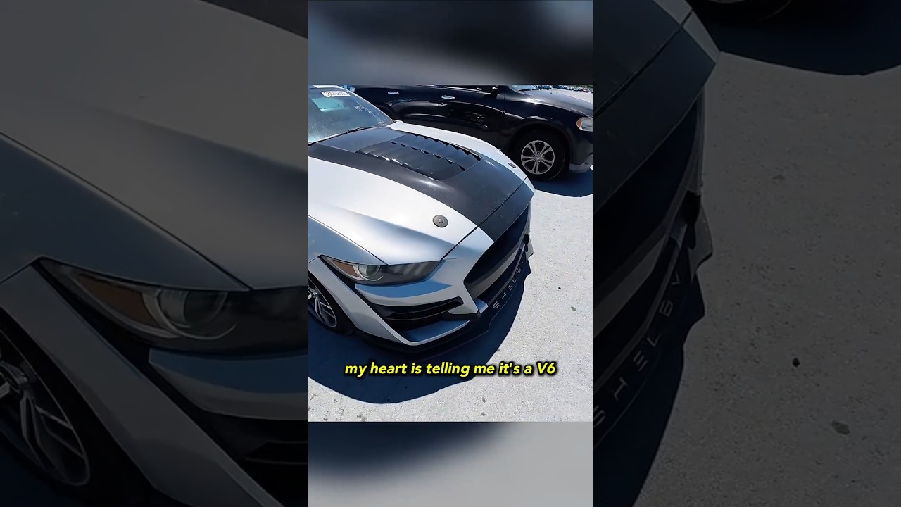 This Shelby Mustang is a FAKE