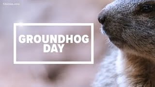 Did the groundhog see its shadow? Here's what the Punxsutawney Phil of the South found