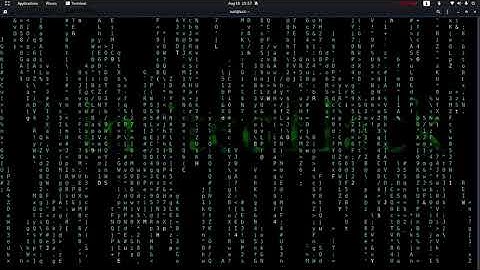 Kali Linux  Matrix terminal