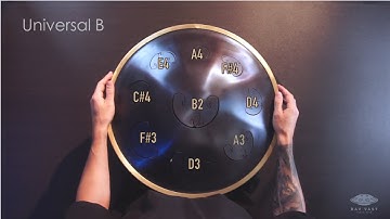 RAV Vast B Universal