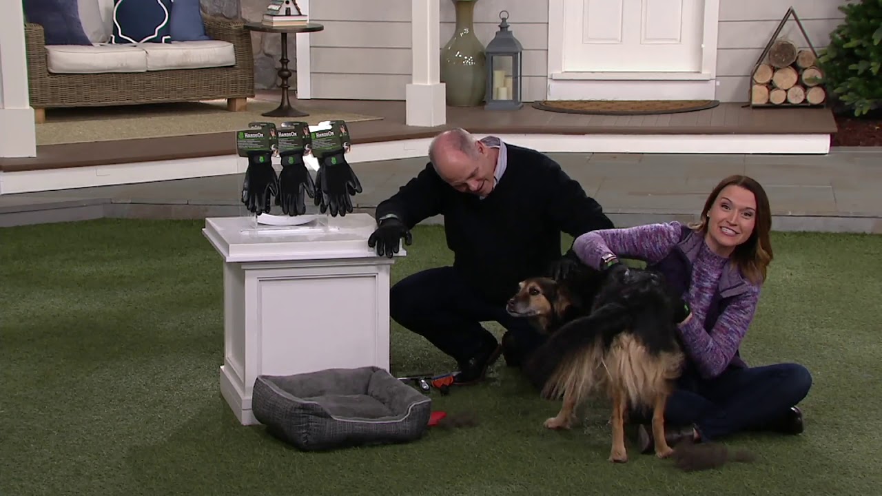 Hands On Pet Shedding Bathing & Grooming Gloves on QVC YouTube