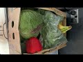 Riverfords large family fruit  veg box