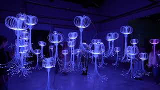 Adaf Medusa Valley Greeces Largest Ever-Growing Participatory Installation