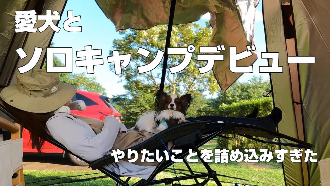 【ソロキャンプ】犬と簡単キャンプでお泊りデビュー