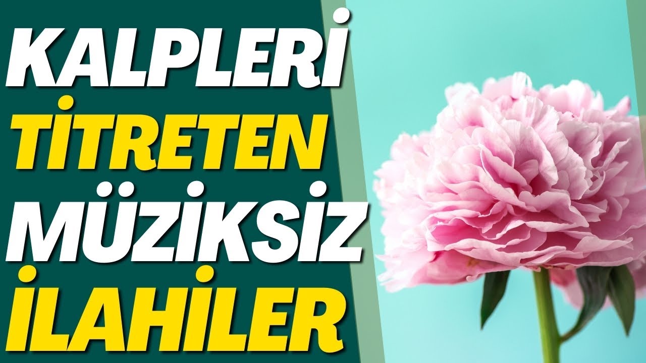KALPLERİ TİTRETEN MÜZİKSİZ İLAHİLER | EY DÜNYAYA GELEN İNSAN GİDENLERİ GÖRMEZ MİSİN