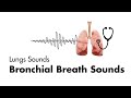 Bronchial Breath Sounds - Lung Sounds - Medzcool