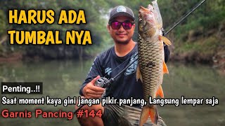 Umpan Besar Ikan Besar | Tarikanya Bikin Kualahan | casting hampala indonesia | Garnis Pancing #144