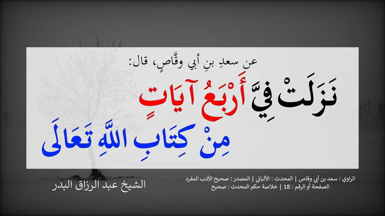 نزلت فيَّ أربع آيات من كتاب الله تعالى --- الشيخ عبد الرزاق البدر