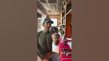 My Very First Shape Charge Invention #pyrotechnics #explosion #explode