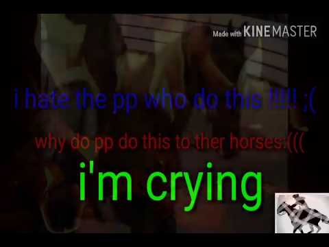 Demon's ll in pain and Suffering Tennessee walking horse abuse horse music video