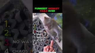 THESE MONKEYS LOST THEIR MINDS 😂 #shorts