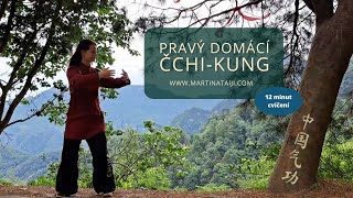 Pravý domácí čchi-kung pro všechny | Taiji Studio