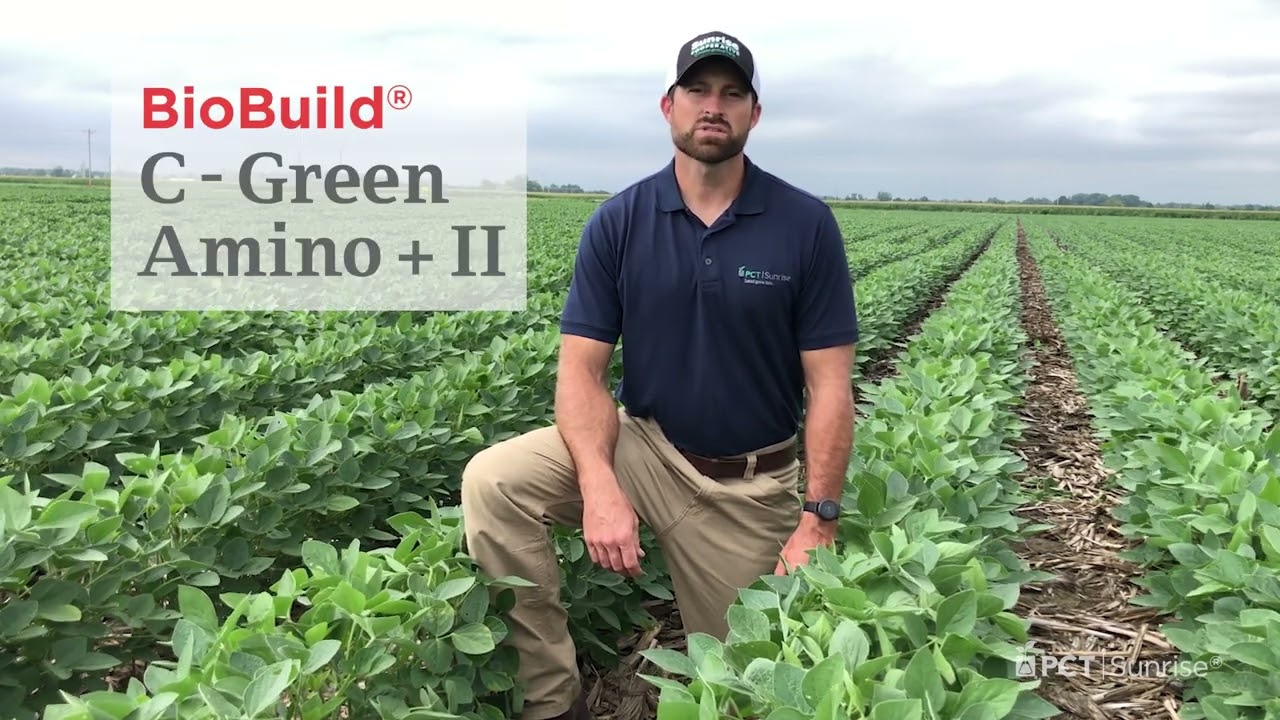 PCT Shorts: How Does Your Foliar Nutrition Stack Up?