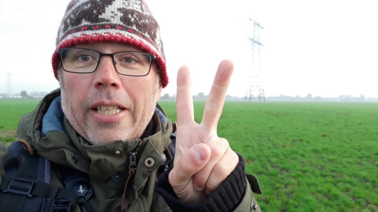 Velduilen, Veldmuizen en Wulpen | Romke Kleefstra (Sovon)