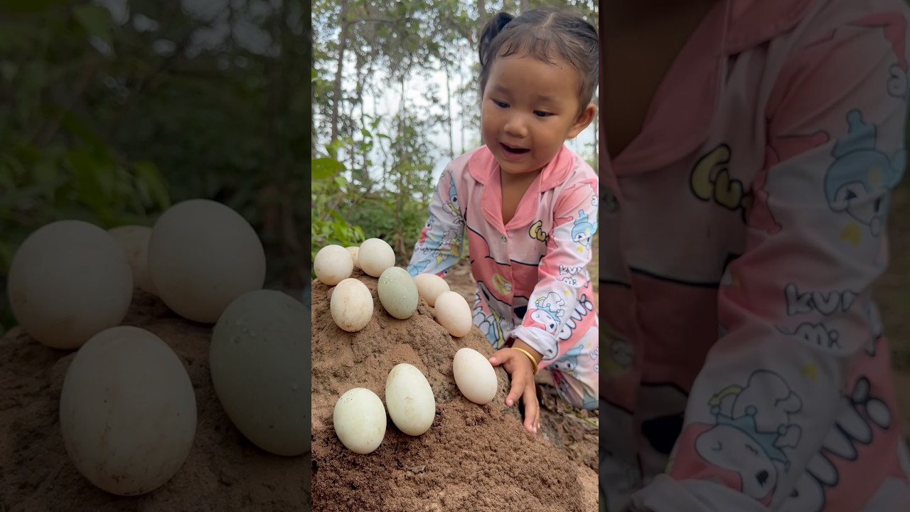 Survival Skills: single mom with a lot of eggs in forest  