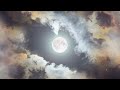 "Sommernachtstraum" – KI Singers | Der Magische Sommerhit für unvergessliche Nächte! 🌙✨