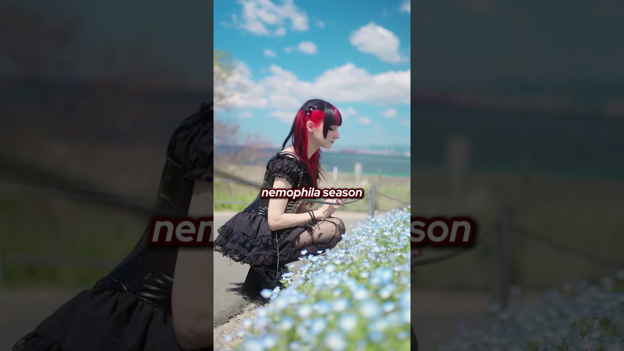 POV: You made it to Japan in time for...
