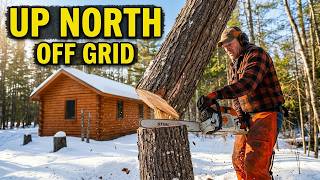 It went great! 3 out of 4 trees did NOT fall on the brand new Bunkhouse!.