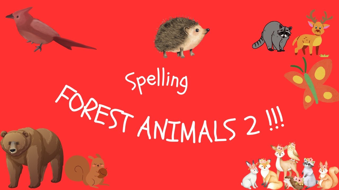 Forest animals part 2 - YouTube