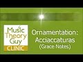 Music Theory: Understanding Akakura (Grace Notes)