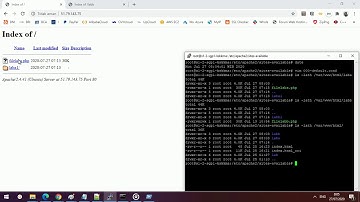 Apache vHost Alias DocumentRoot