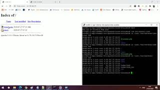 Apache vHost Alias DocumentRoot