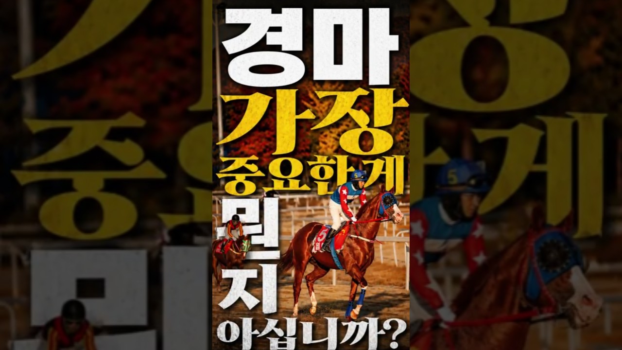 경마 중요한게 뭐라? 상태회복·변화된 마필!! #horse