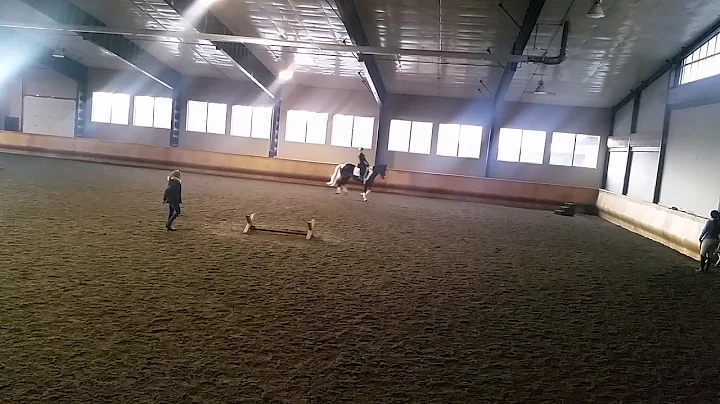Cloud lesson w Dressage coach Ruth Koch