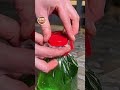 A Bottle Cap Trick to Carry Water! #creative