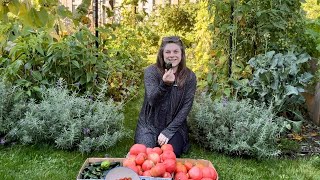 Fall Backyard Garden Tour & Harvest 2025 | Ontario Zone 6