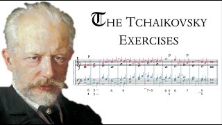 The Tchaikovsky Counterpoint Exercises || Tonal Voice Leading 18
