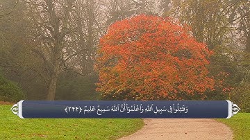 نام های الله متعال در قرآن آیه 244 سوره بقره