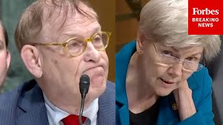'So You're Saying You Don't Have To Answer The Question': Warren Grills Top Nominee For IRS Position
