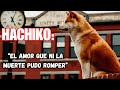 ✅Lo esperó hasta el final... y nunca dejó de creer!