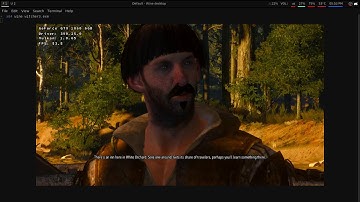 DXVK (85d28f7) | The Witcher 3: Wild Hunt | NVIDIA