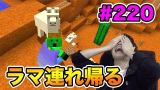 【マスオのマインクラフト】ラマ連れ帰る作戦だが悲劇が待っていた…！#220