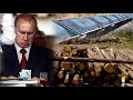 Кремль вырубит леса Байкала для экспорта...угля