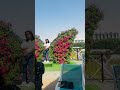beautiful ❤️🤟#miraclegarden