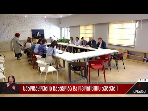 საზოგადოებრივი განწყობა და ოპოზიციის გეგმები