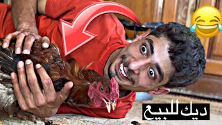 الطفل العربي بختصاار!!😂نزار الحموي