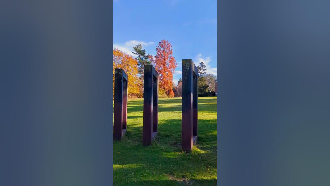 shorts Rectangles YouTube