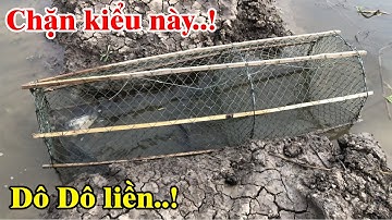 Bão số 5 cá tràn lên đồng tha hồ mà bắt | Chặn thế này cá vào hết | THÚ VUI MIỀN TÂY. Tập 381