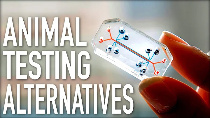 Are There Alternatives to Animal Testing?