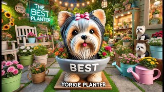 🐾 Toyswill Dog Planter Plant Pot for Outdoor Plants | Best Yorkie Planter 🐾