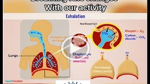 Class-5_EVS_Chapter-6_Breathe In Breathe Out