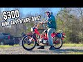 Barn Find 1979 Honda Trail 90 Runs for the First Time in 26 YEARS! Meet our New Favorite Honda!!